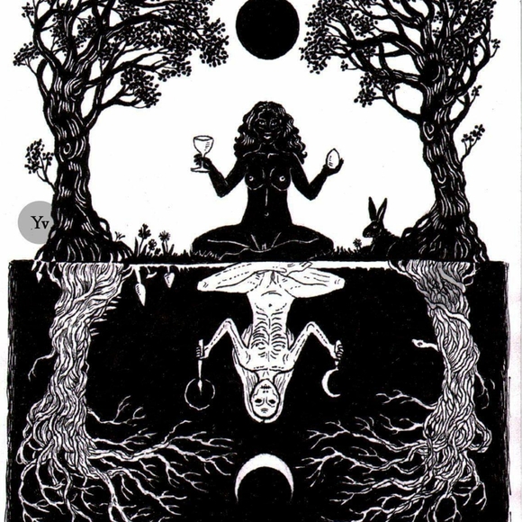 Meet your Posher, Franki - Picture 1 of 1